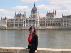 parlament.jpg, Das Parlament