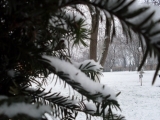 sdc10614.jpg, 